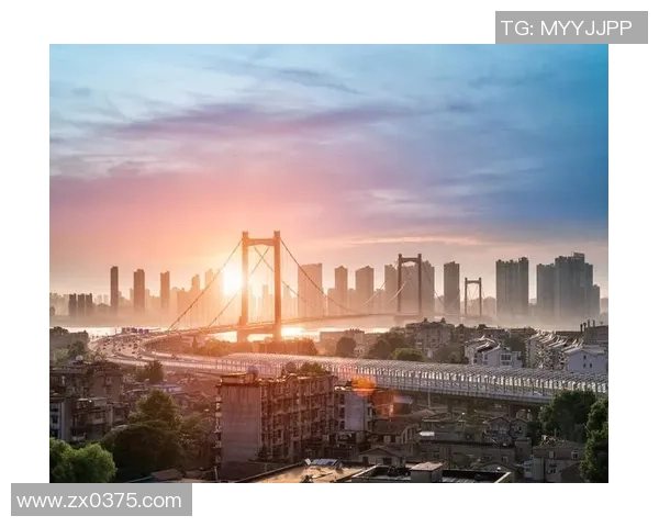 武汉篮球队在钻石联赛中的崛起与挑战历程全景回顾